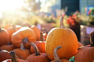 Halloween: 5 activités de couple à faire le 31 octobre - Boutique LUV